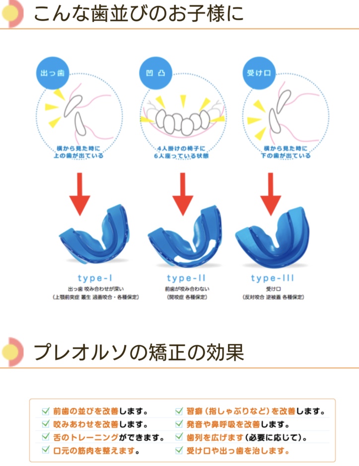 プレオルソについて